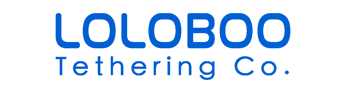 Loloboo Tethering Extension Cable – 9.4m, 10Gbps - Loloboo Tethering Co